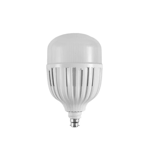 LE-0100-22-DL LED Daylight Bulb 100W B22 Pin type
