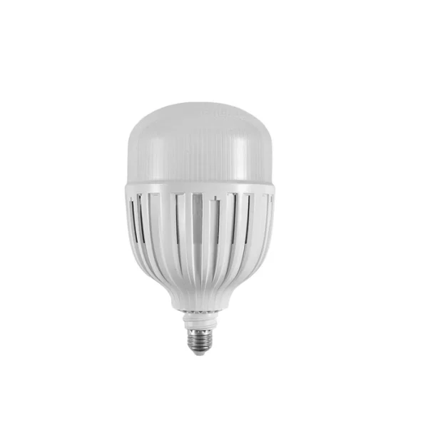 LE-0100-27-DL LED Daylight Bulb 100W screw
