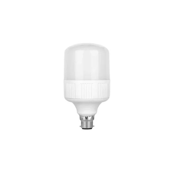 LE-3022-DL Bulb LED 30 Watts B22 (Pin)
