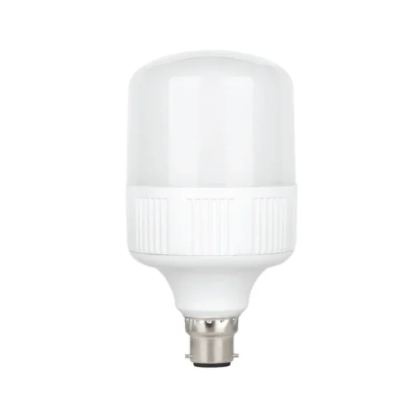 LE3022-WW LED Bulb 30W B22 Warmwhite