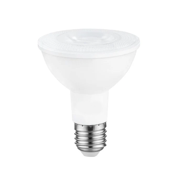 PAR30 12W LED Bulb