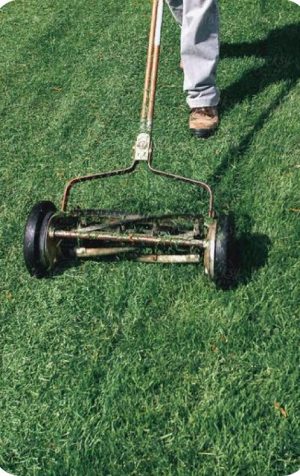 Manual push mower 18 inches